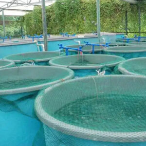 Aquaculture Tubs