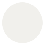 Dover White Dover White