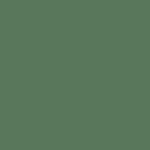 MIST GREEN Pale Eucalypt® MIST GREEN Pale Eucalypt®
