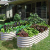 garden bed oblong